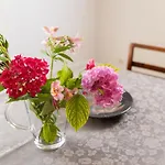 Apartament Palm And Palmino Garden Near Lungo Mare By Irundo