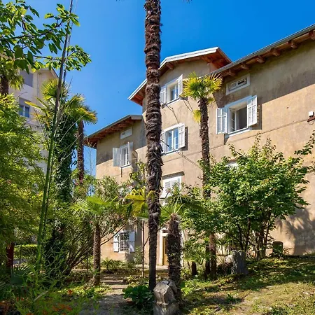 Palm And Palmino Garden Near Lungo Mare By Irundo